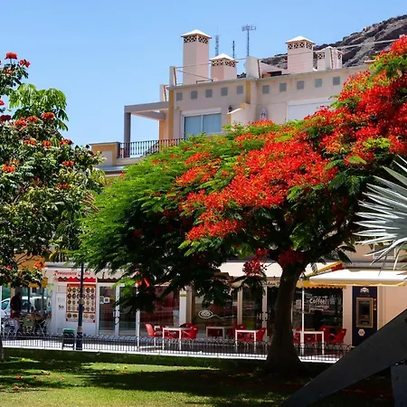 Mistral-20 Apartment Puerto De Mogan