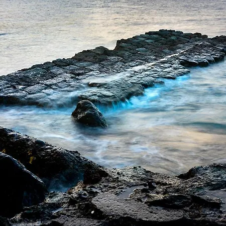 Mistral-20 Apartment