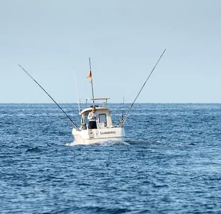 Mistral-20
