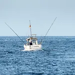 Mistral-20